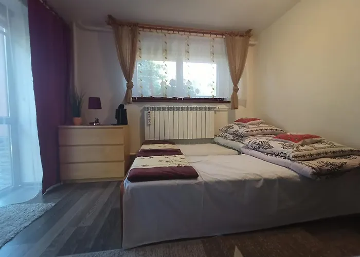 U Zajdy * זאבוייה